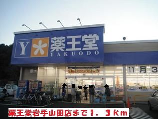 近くの薬王堂岩手山田店まで1,300m（徒歩17分）