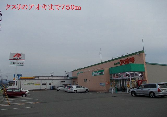 近くのクスリのアオキまで750m（徒歩10分）