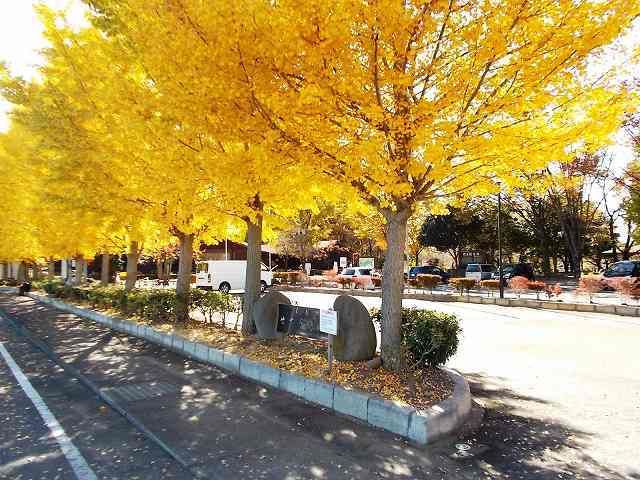 近くのせせらぎ公園まで1,300m(徒歩17分)