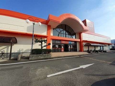 近くのザ・ビッグ鴨島店さんまで750m（徒歩10分）