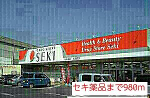 近くのセキ薬品まで980m(徒歩13分)