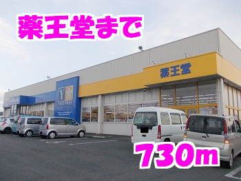 近くの薬王堂まで730m(徒歩10分)