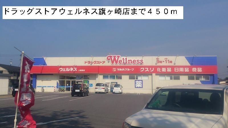 近くのウェルネス旗ヶ崎店まで450m(徒歩6分)