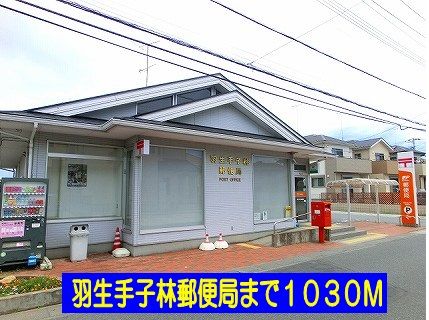 近くの羽生手子林郵便局まで1,030m（徒歩13分）