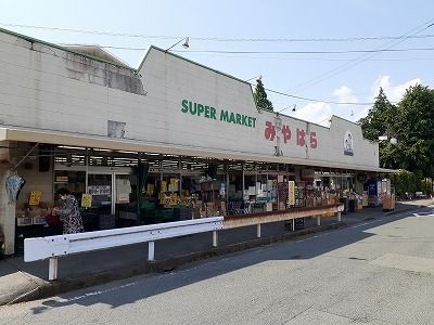 近くのみやはら一の宮店まで1,800m（徒歩23分）