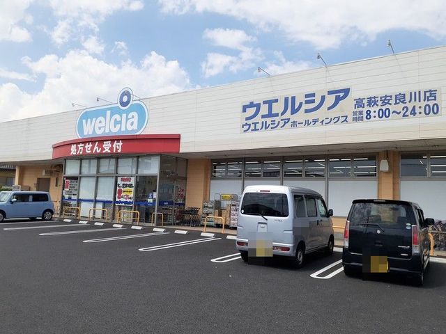 近くのウエルシア高萩安良川店まで1,900m（徒歩24分）
