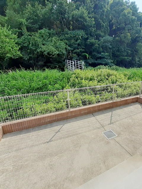 庭