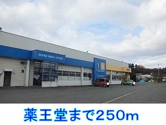 近くの薬王堂まで250m（徒歩4分）