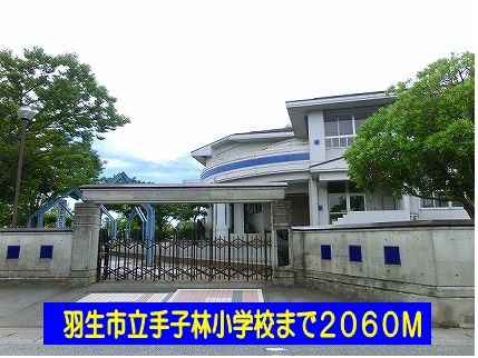 近くの羽生市立手子林小学校まで2,060m（徒歩26分）