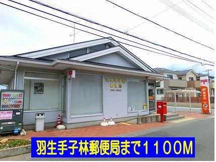 近くの羽生手子林郵便局まで1,100m（徒歩14分）