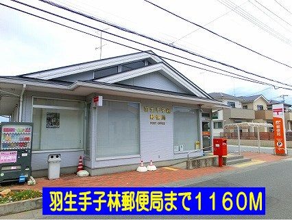 近くの羽生手子林郵便局まで1,160m(徒歩15分)