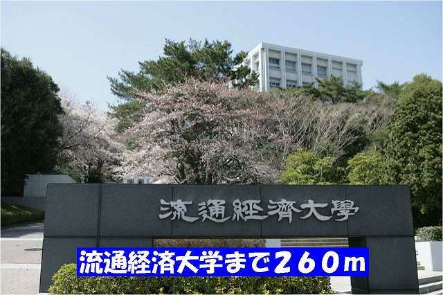 近くの流通経済大学新松戸キャンパスまで260m(徒歩4分)