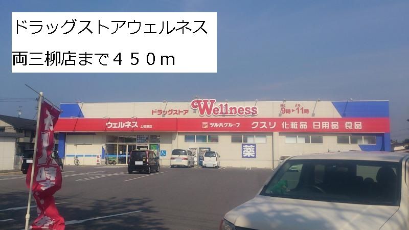 近くのウェルネス両三柳店まで450m（徒歩6分）