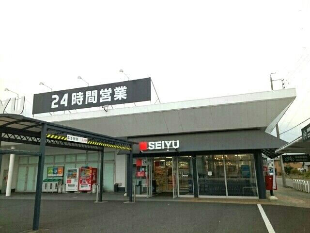 近くのSEIYU    松河戸店まで1,310m（徒歩17分）