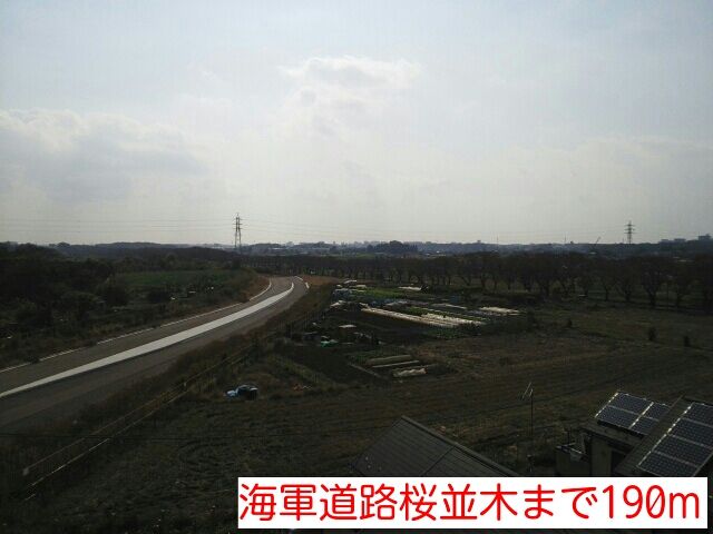 近くの海軍道路桜並木まで190m（徒歩3分）