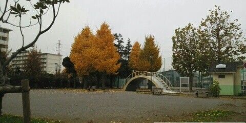 近くの公園まで100m(徒歩2分)