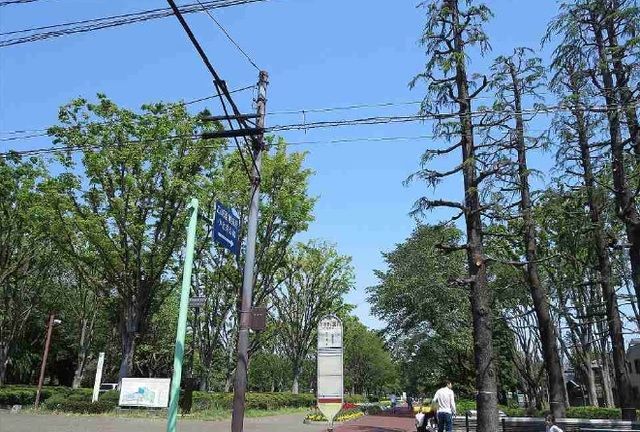 近くの公園まで350m（徒歩5分）