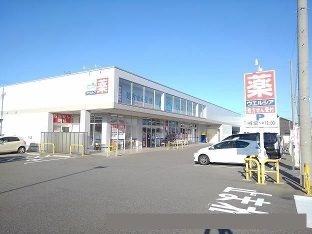 近くのウエルシア金沢直江店まで1,500m（徒歩19分）