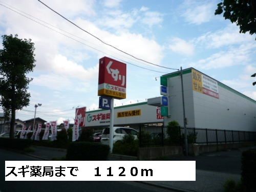 近くのスギ薬局まで1,120m(徒歩14分)