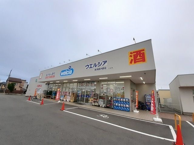 近くのウエルシア　新潟西内野店まで800m（徒歩10分）
