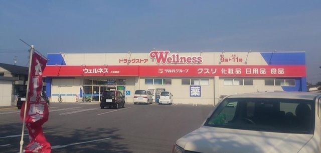 近くのドラッグストアウェルネス淀江店まで2,800m（徒歩35分）