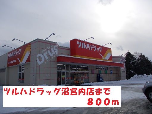 近くのツルハドラッグ沼宮内店まで800m(徒歩10分)