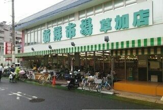 近くの新鮮市場草加店まで700m（徒歩9分）