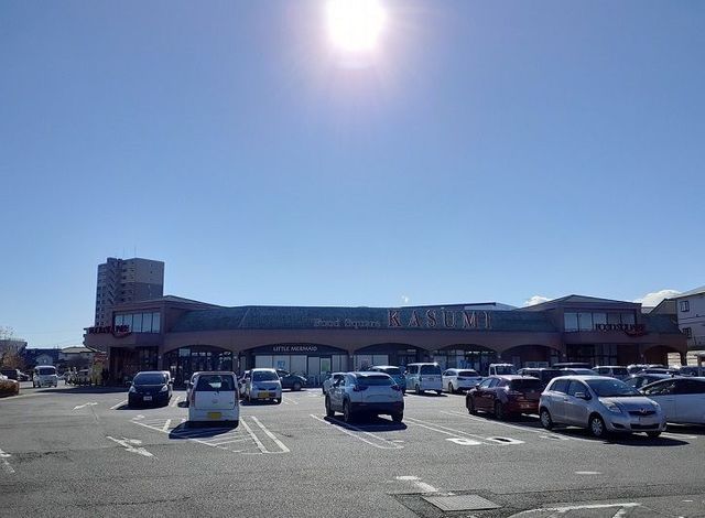 近くのフードスクエアカスミ水戸見川店まで800m（徒歩10分）