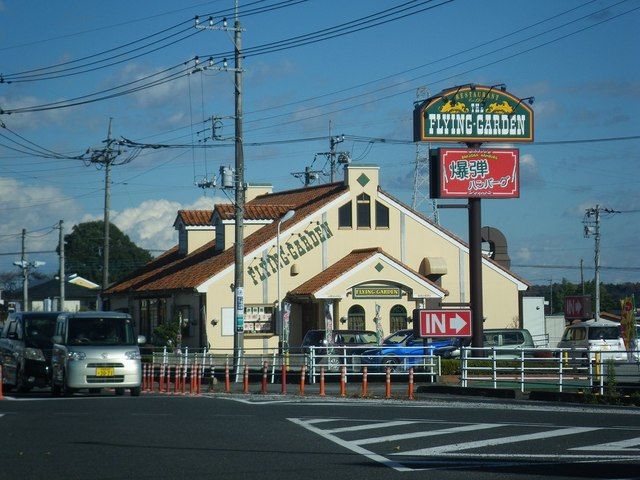 近くのフライングガーデン氏家店まで900m（徒歩12分）