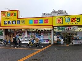 近くのどらっぐぱぱす柴又3丁目店まで300m（徒歩4分）