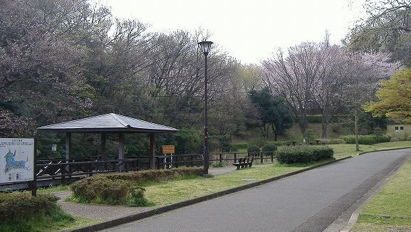 近くの久良岐公園まで795m（徒歩10分）