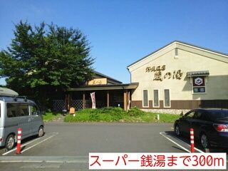 近くのスーパー銭湯まで300m（徒歩4分）