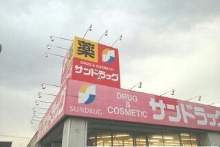 近くのサンドラッグ新琴似店まで450m(徒歩6分)