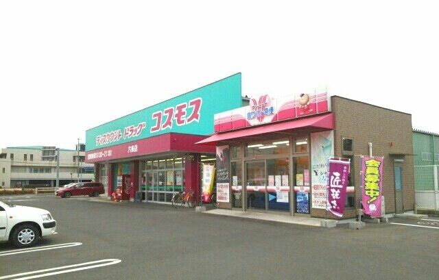 近くのコスモス六条店さんまで1,200m（徒歩15分）