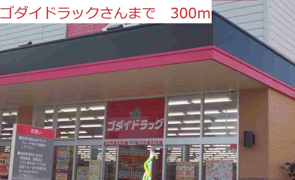 近くのゴダイドラッグまで300m(徒歩4分)