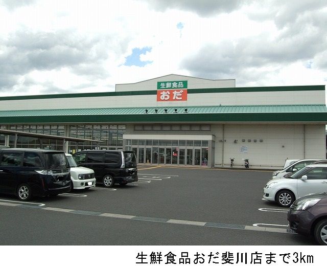 近くの生鮮食品おだ斐川店まで3,000m（徒歩38分）