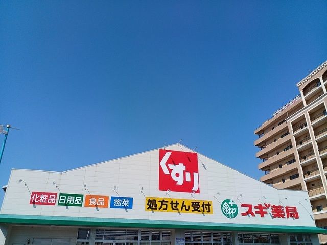 近くのスギ薬局高石駅前店様まで830m（徒歩11分）