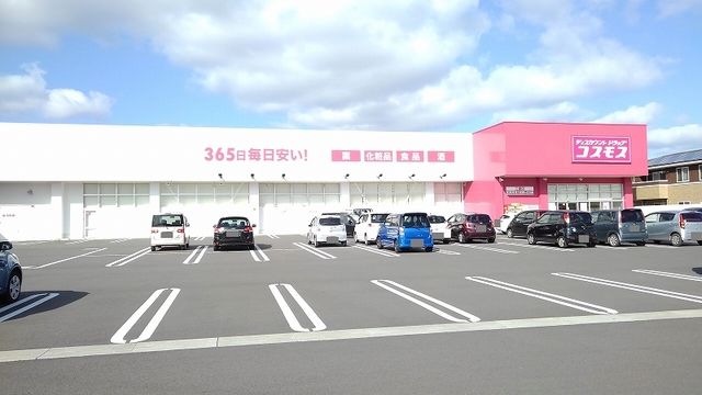 近くのドラッグストアまで300m（徒歩4分）