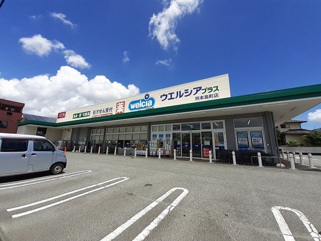 近くのウエルシアプラス島町店まで650m（徒歩9分）