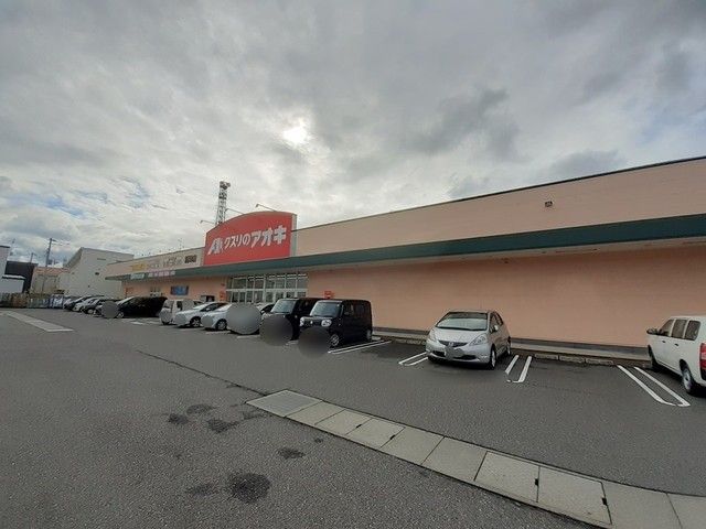 近くのクスリのアオキ　新津店まで750m（徒歩10分）