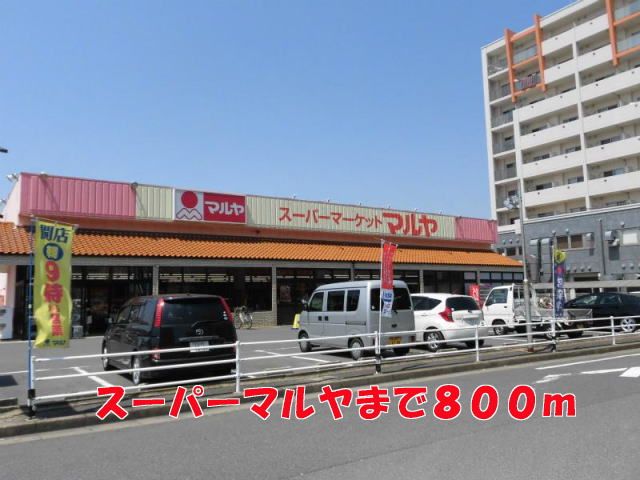 近くのマルヤまで800m（徒歩10分）