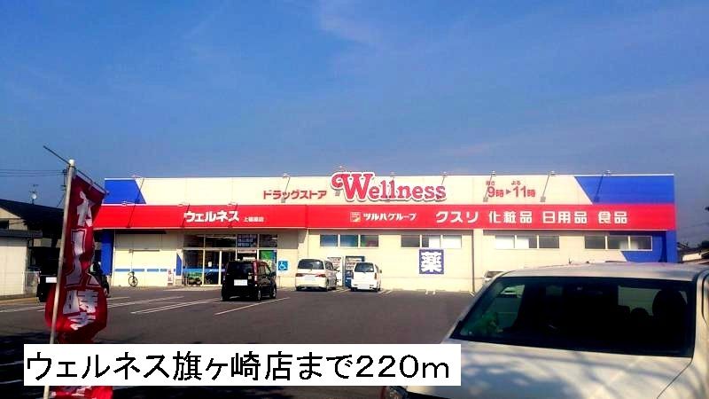 近くのウェルネス旗ヶ崎店まで220m（徒歩3分）