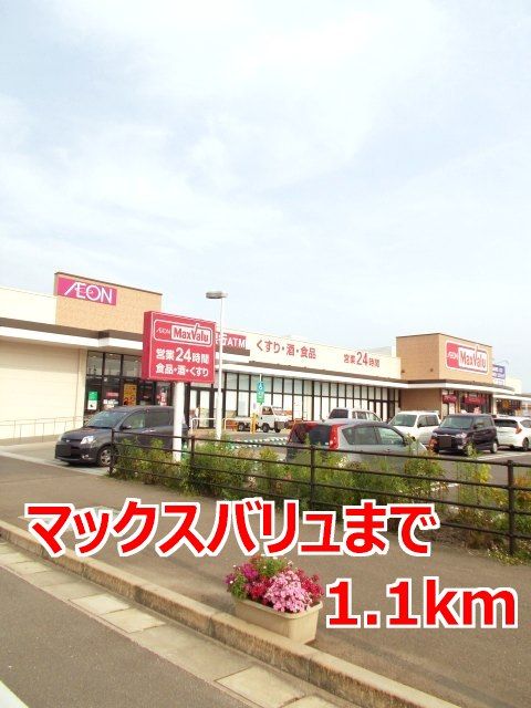 近くのマックスバリュまで1,100m（徒歩14分）