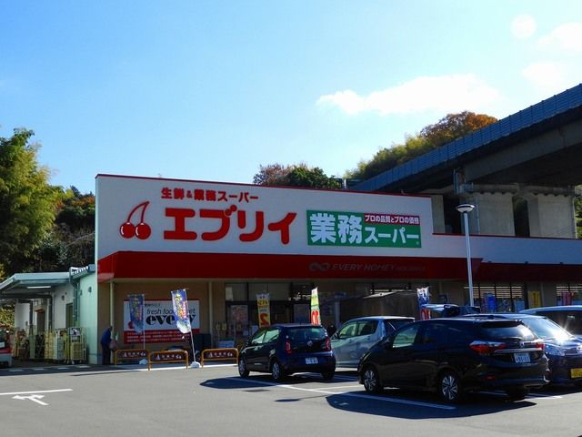 近くのエブリイ沼田店まで1,000m（徒歩13分）