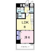 コーラルストーン泊の間取り画像
