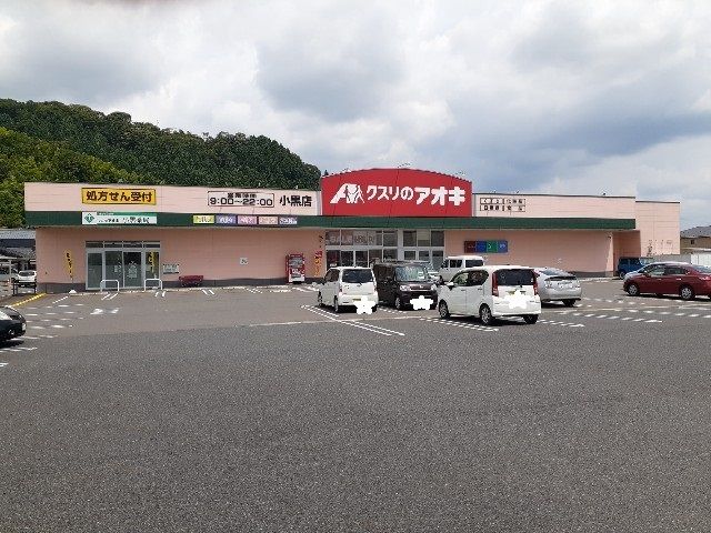 近くのクスリのアオキまで650m（徒歩9分）
