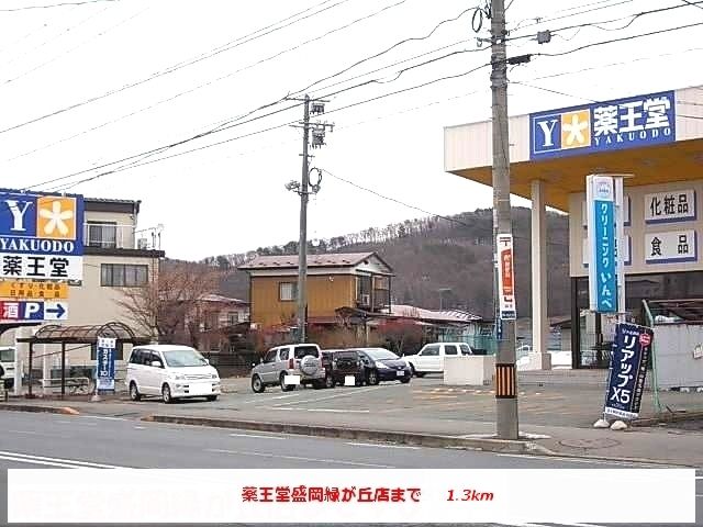 近くの薬王堂盛岡緑が丘店まで1,300m(徒歩17分)