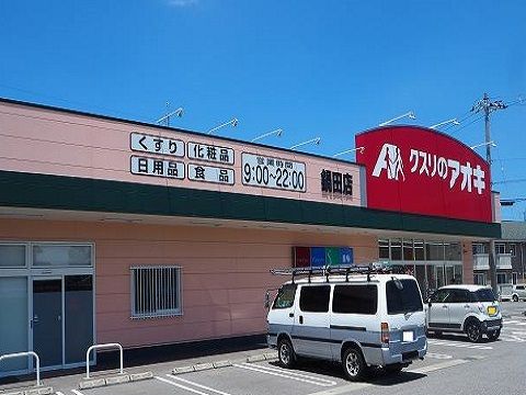 近くのクスリのアオキ鍋田店まで900m（徒歩12分）