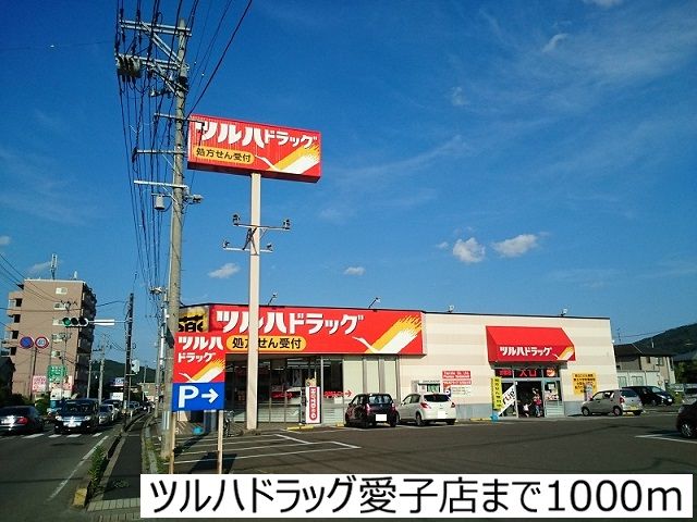 近くのツルハドラッグ愛子店まで1,000m（徒歩13分）