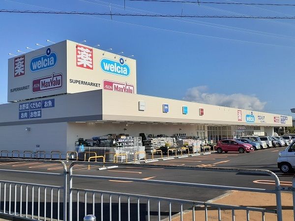 近くのウェルシア上河端町店まで700m（徒歩9分）